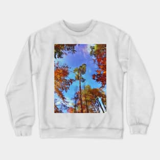 Tops of tress in an autumn setting Crewneck Sweatshirt